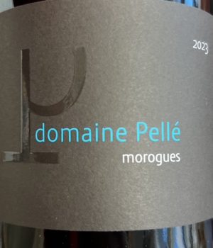 Domaine Pellé - Morogues 2023