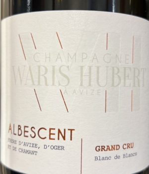Waris Hubert - Albescent 2022